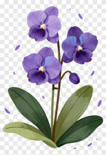 Purple Orchid Flower PNG