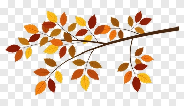 Colorful Autumn Leaves On A Branch PNG