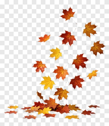 Falling Autumn Leaves PNG