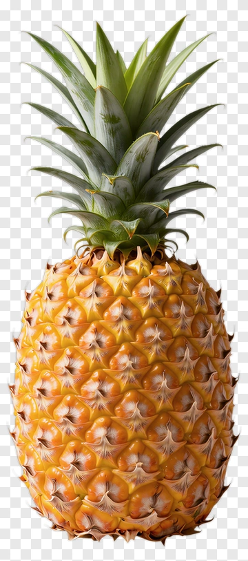 Pineapple With Green Leaves PNG