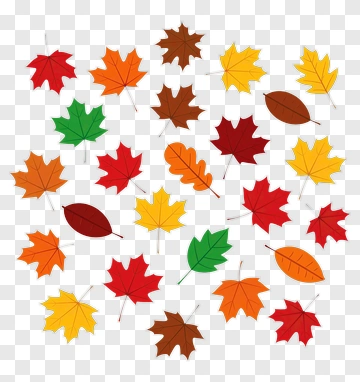 Colorful Autumn Leaves PNG