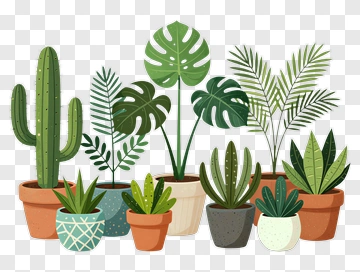 Collection Of Potted Plants PNG