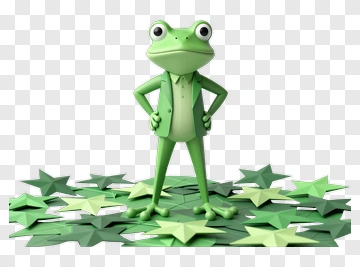 3D Frog Standing On Green Stars PNG