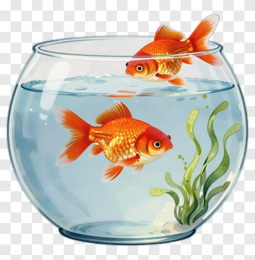 Goldfish In A Bowl With Aquatic Plants PNG