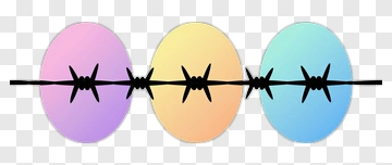 Barbed Wire With Colorful Eggs PNG
