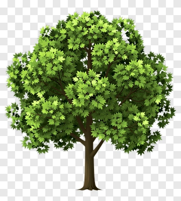 Green Tree PNG