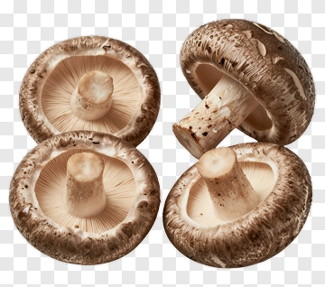 Mushrooms On A White Background PNG