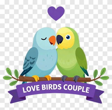 Love Birds Couple On A Branch PNG