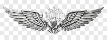Eagle Wings With Globe And Stars PNG
