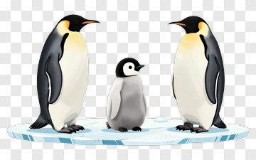 Family Of Penguins On Ice PNG