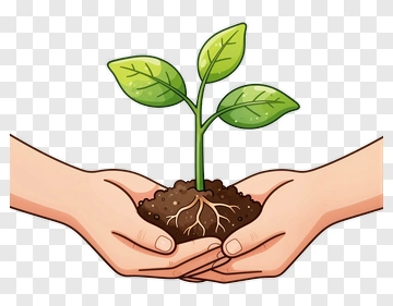 Hands Holding A Growing Plant PNG