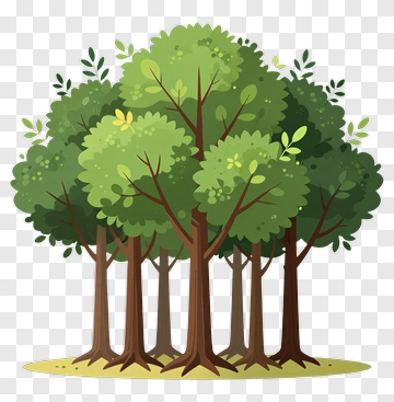 Colorful Tree Group PNG