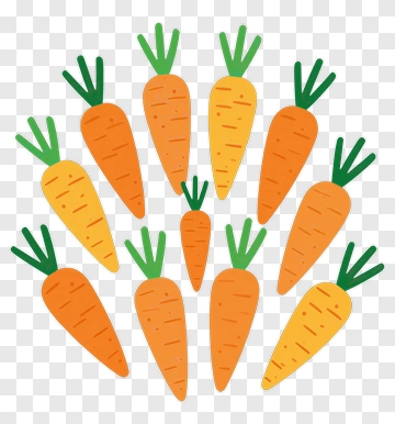 Colorful Carrots PNG