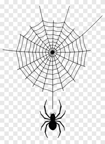 Spider Web With Spider PNG