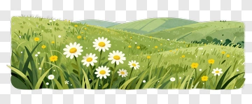 Flowering Meadow Landscape PNG