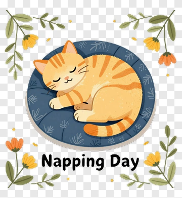 Sleeping Cat On Napping Day PNG