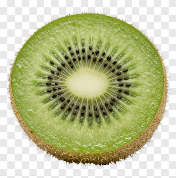Sliced Kiwi Fruit PNG