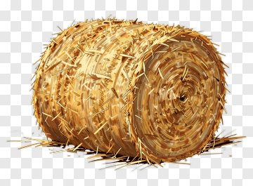 Hay Bale PNG