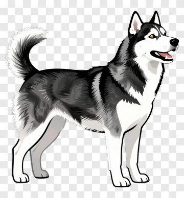 Cartoon Siberian Husky PNG