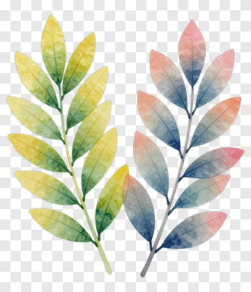 Colorful Watercolor Leaves PNG