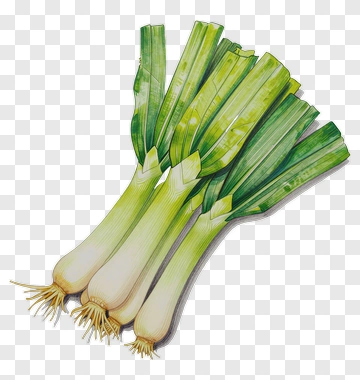 Fresh Leeks PNG