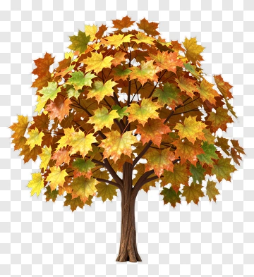 Colorful Tree With Autumn Leaves PNG