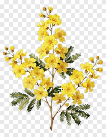 Colorful Yellow Flower Bouquet PNG