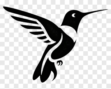 Black Hummingbird Silhouette PNG