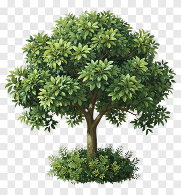 Green Tree With Lush Foliage PNG