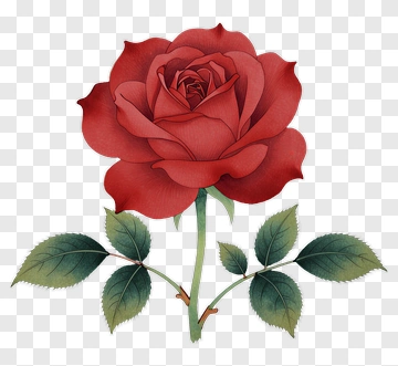 Red Rose With Green Leaves PNG
