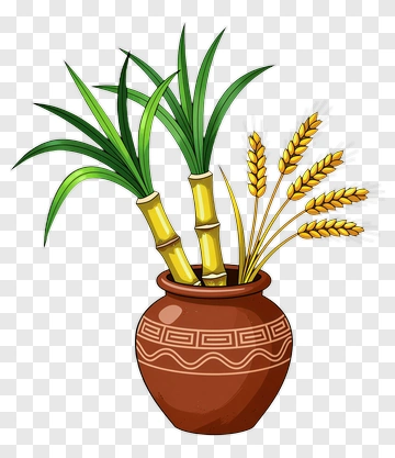 Clay Pot With Sugarcane And Wheat PNG