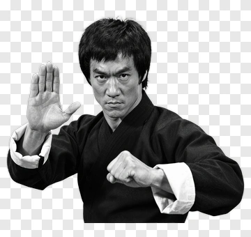 Martial Artist In Action Pose PNG