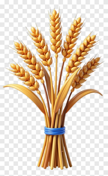 Wheat Bundle With Blue Tie PNG