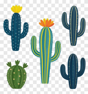 Colorful Cacti With Flowers PNG