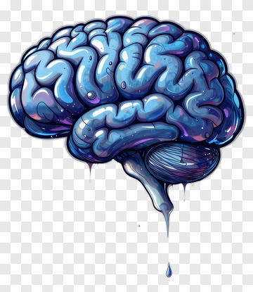 Colorful Brain Illustration PNG