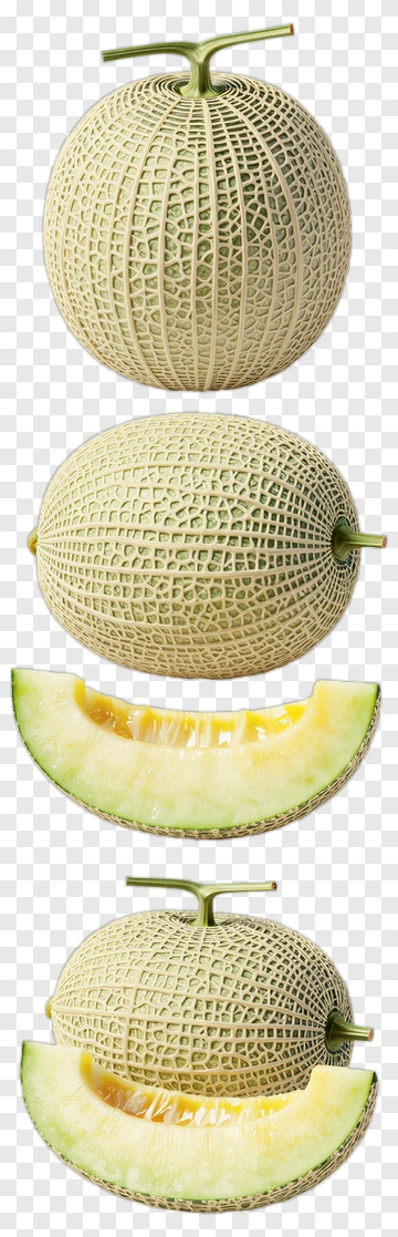 Melon With Cross-Section And Slice PNG
