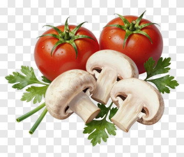 Fresh Tomatoes And Mushrooms With Green Herbs PNG