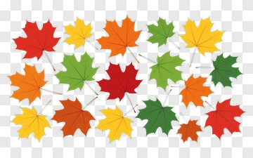 Colorful Maple Leaves PNG
