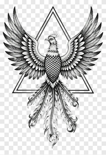 Black And White Phoenix Illustration PNG