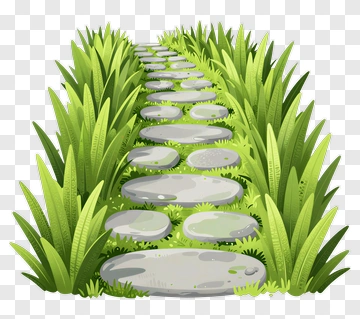 Pathway Through Lush Grass PNG