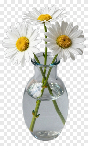 Daisies In A Clear Glass Vase PNG