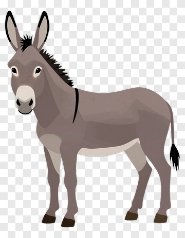 Cartoon Donkey PNG