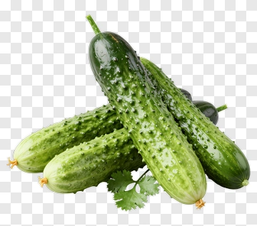 Fresh Cucumbers PNG
