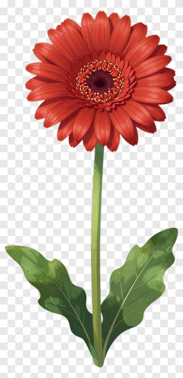 Red Flower With Green Leaves PNG