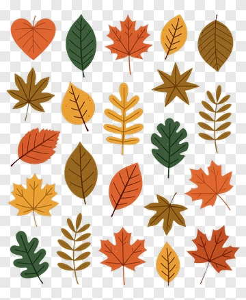 Colorful Autumn Leaves Collection PNG