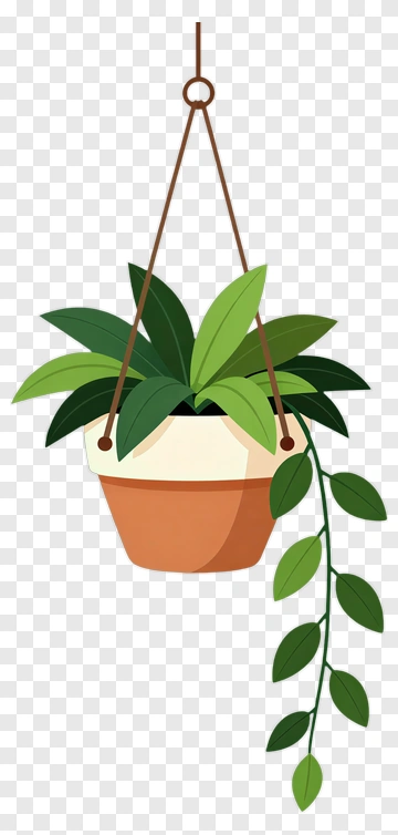 Hanging Potted Plant PNG