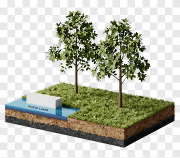 Tree Layer With Water Layer And Grass PNG