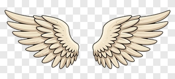 Cartoon Angel Wings PNG