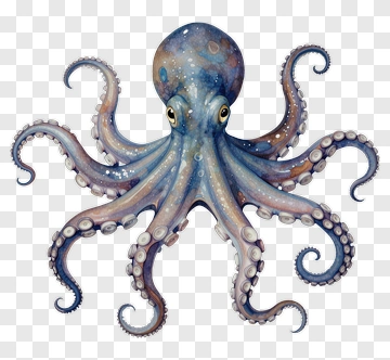Colorful Octopus With Eight Tentacles PNG