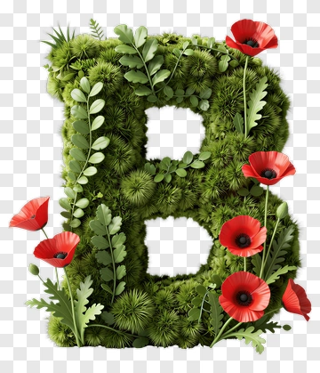 Floral Letter B With Greenery And Red Poppies PNG